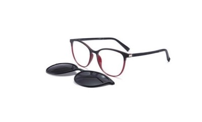 Blizzard clip-on 2395 04