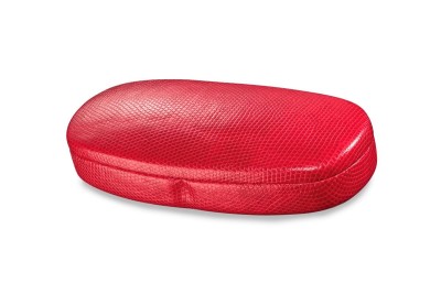 Pouzdro na brýle "RADEK" 800167 10