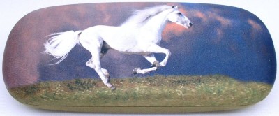 Oblíbené pouzdro "KŮŇ" 210